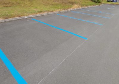 Blue carparks for specific use